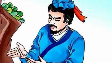 鲁班鸟视频,揭秘古代建筑智慧与自然界的完美融合
